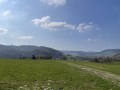 IMG_6081